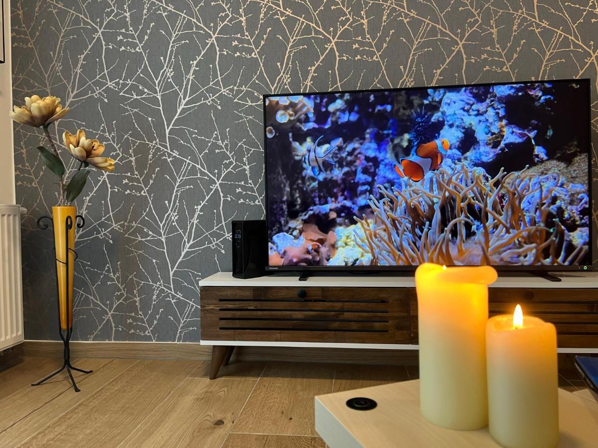 Apartman U Pelikana Оломоуц Екстер'єр фото